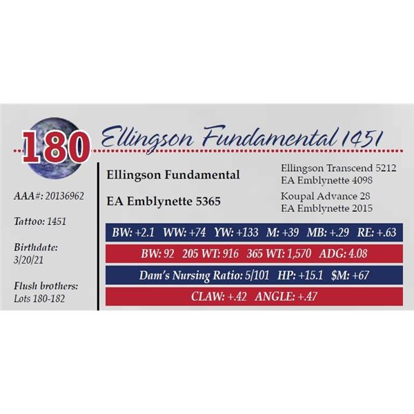 ELLINGSON FUNDAMENTAL 1451