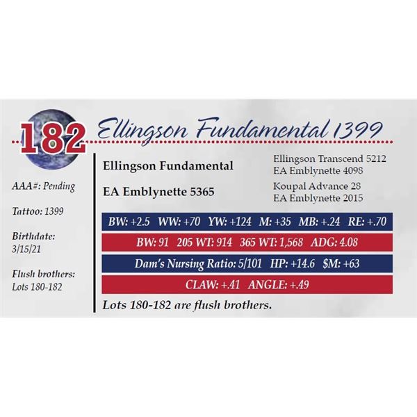 ELLINGSON FUNDAMENTAL 1399