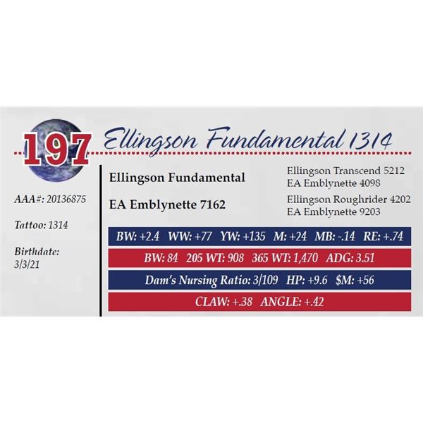 ELLINGSON FUNDAMENTAL 1314