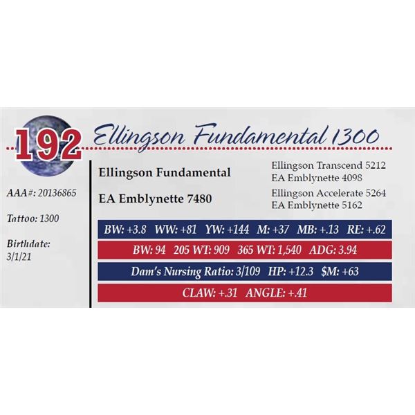 ELLINGSON FUNDAMENTAL 1300