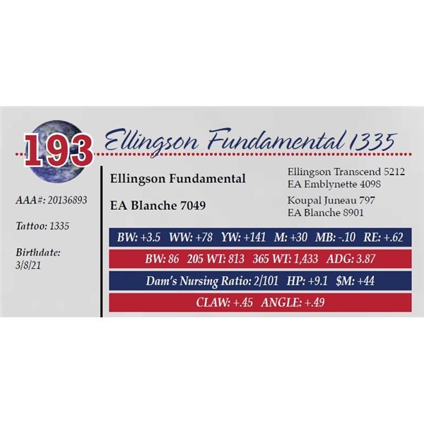 ELLINGSON FUNDAMENTAL 1335