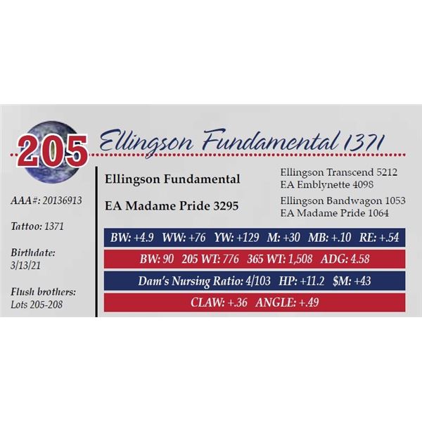 ELLINGSON FUNDAMENTAL 1371