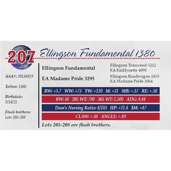 ELLINGSON FUNDAMENTAL 1380
