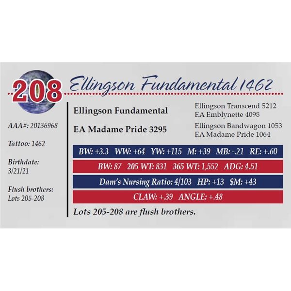 ELLINGSON FUNDAMENTAL 1462