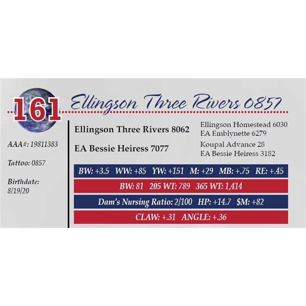 ELLINGSON THREE RIVERS 0857