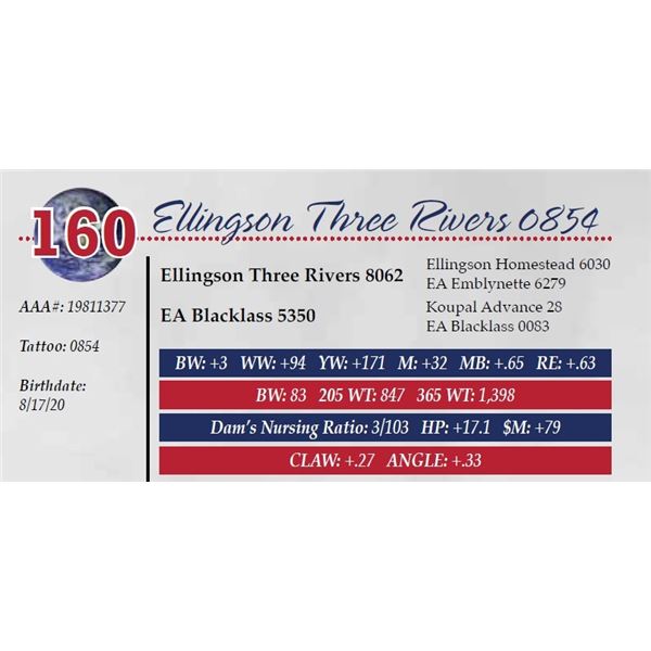 ELLINGSON THREE RIVERS 0854