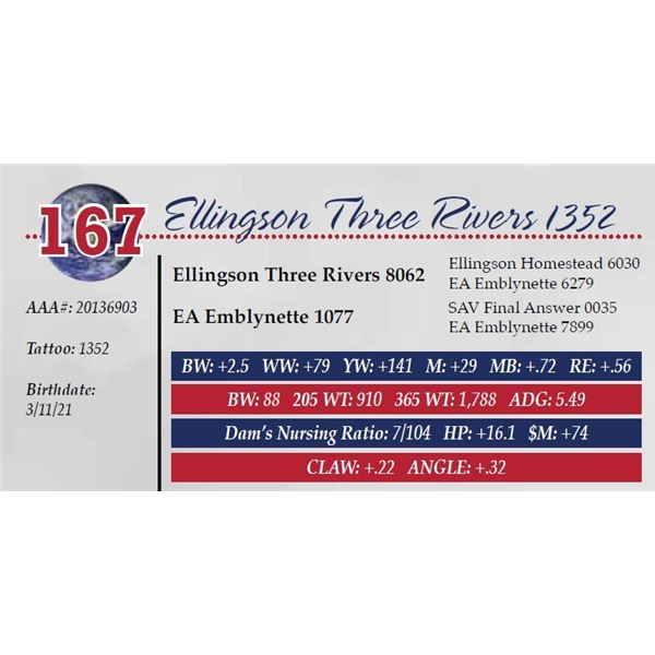 ELLINGSON THREE RIVERS 1352