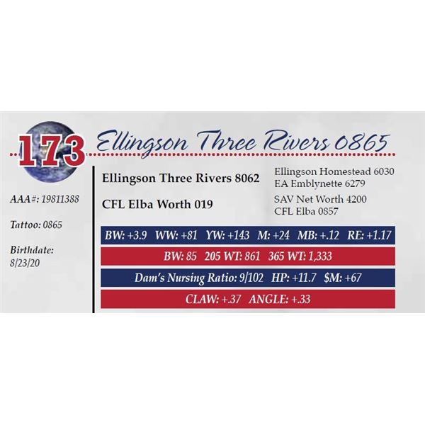 ELLINGSON THREE RIVERS 0865