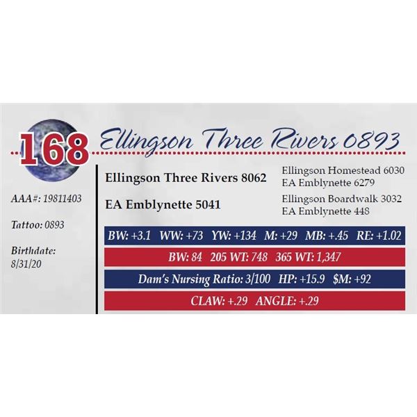 ELLINGSON THREE RIVERS 0893