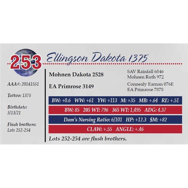 ELLINGSON DAKOTA 1375