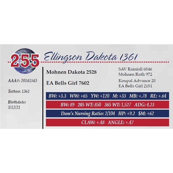 ELLINGSON DAKOTA 1361