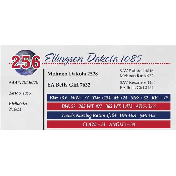 ELLINGSON DAKOTA 1085