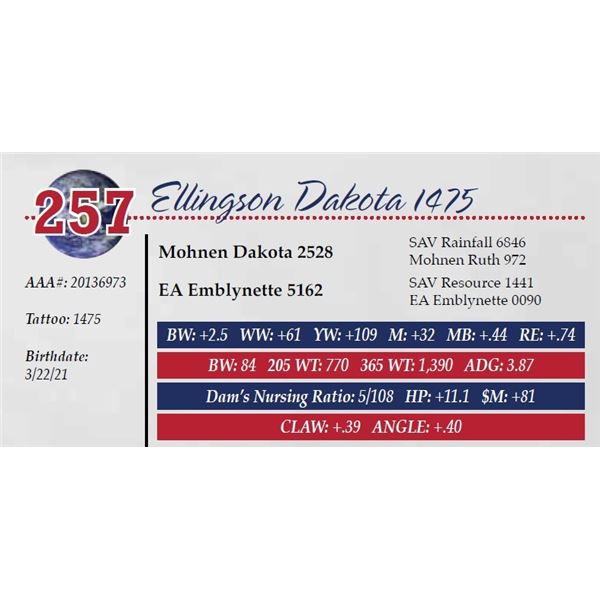 ELLINGSON DAKOTA 1475