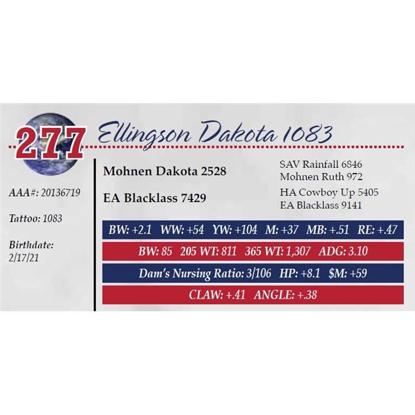 ELLINGSON DAKOTA 1083