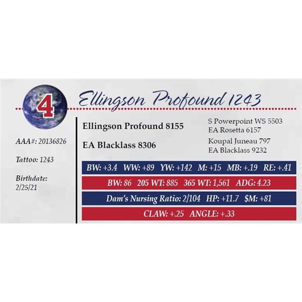 ELLINGSON PROFOUND 1243