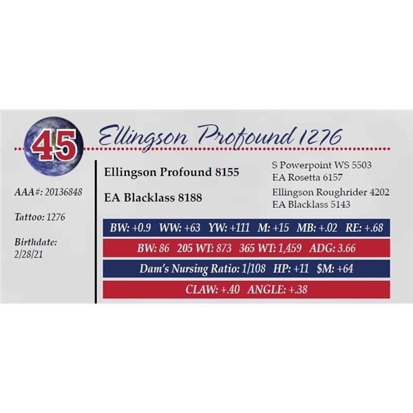 ELLINGSON PROFOUND 1276