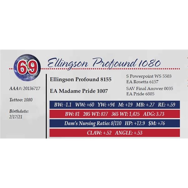 ELLINGSON PROFOUND 1080