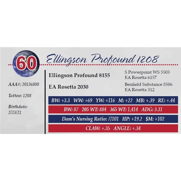 ELLINGSON PROFOUND 1208