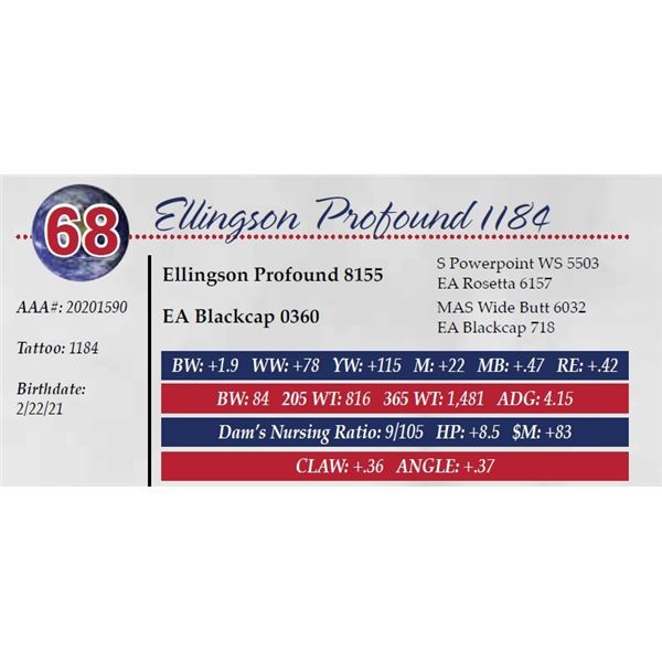 ELLINGSON PROFOUND 1184