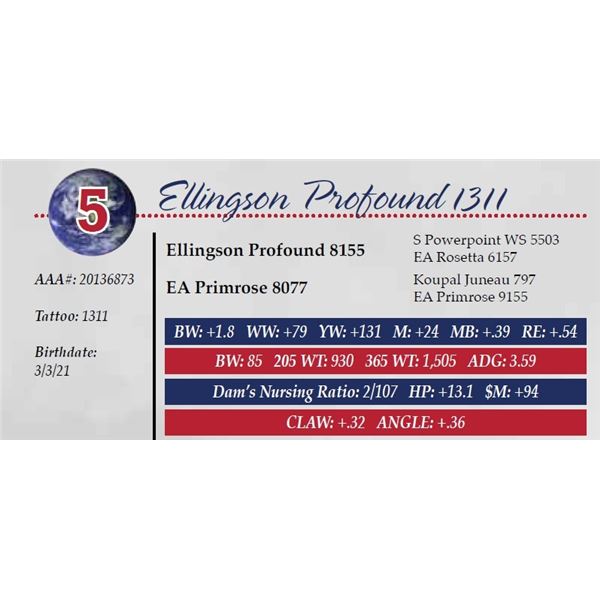 ELLINGSON PROFOUND 1311