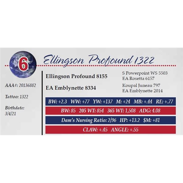 ELLINGSON PROFOUND 1322