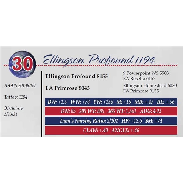 ELLINGSON PROFOUND 1194