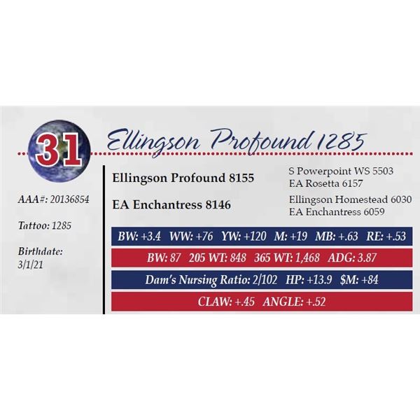 ELLINGSON PROFOUND 1285