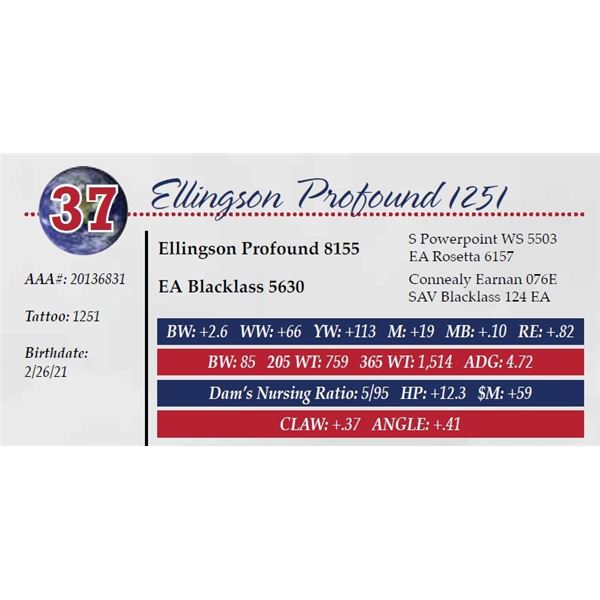 ELLINGSON PROFOUND 1251