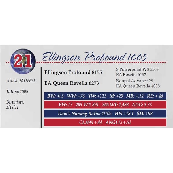 ELLINGSON PROFOUND 1005