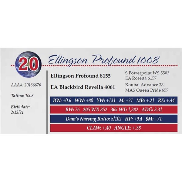 ELLINGSON PROFOUND 1008