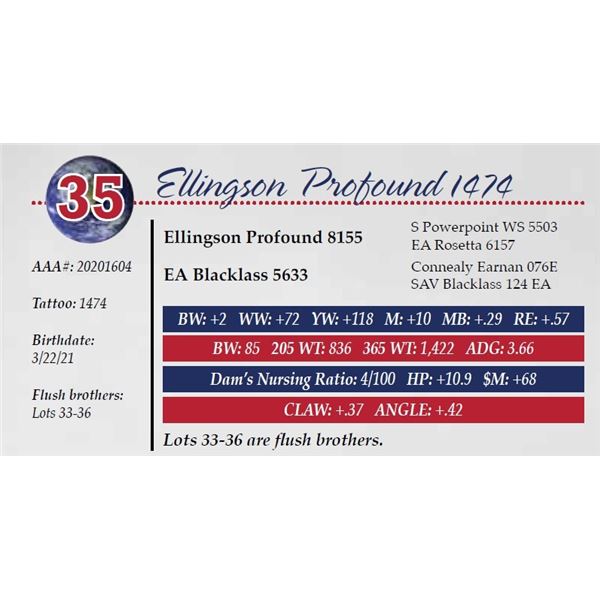 ELLINGSON PROFOUND 1474