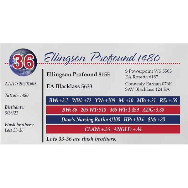 ELLINGSON PROFOUND 1480