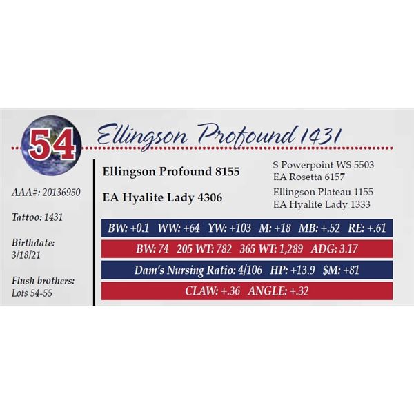 ELLINGSON PROFOUND 1431