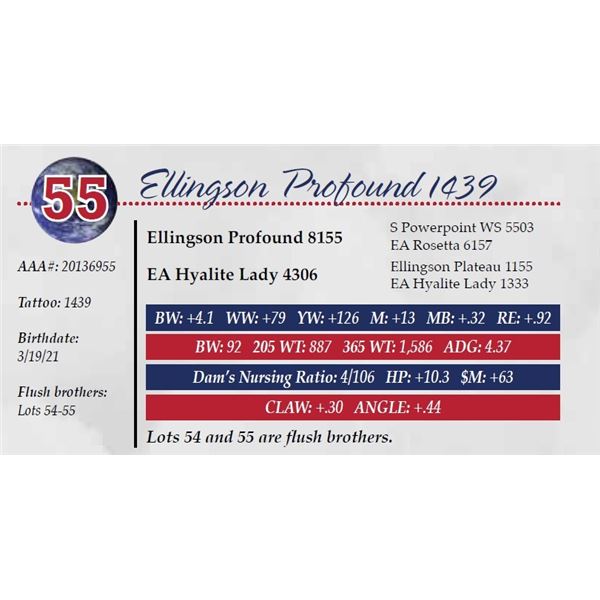 ELLINGSON PROFOUND 1439