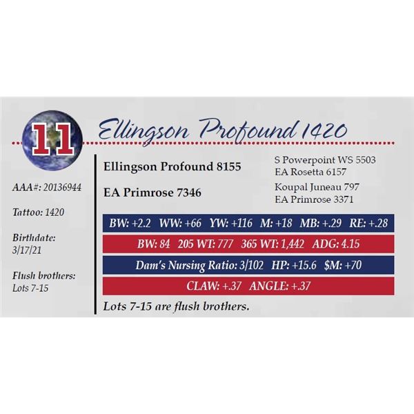 ELLINGSON PROFOUND 1420