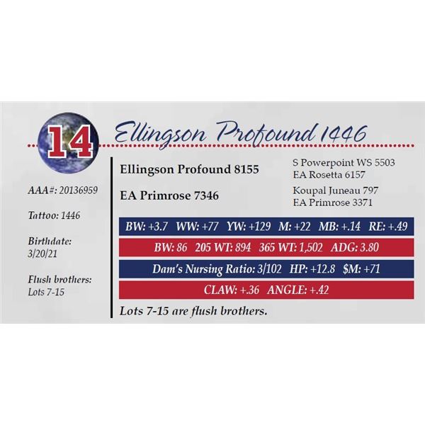 ELLINGSON PROFOUND 1446