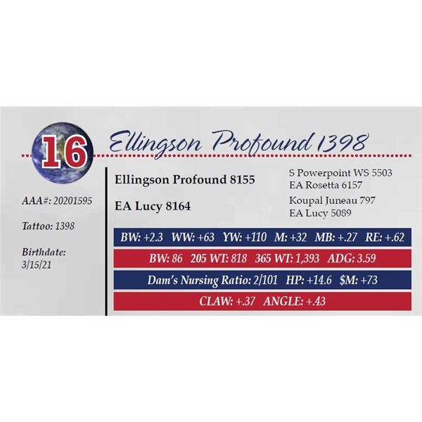 ELLINGSON PROFOUND 1398