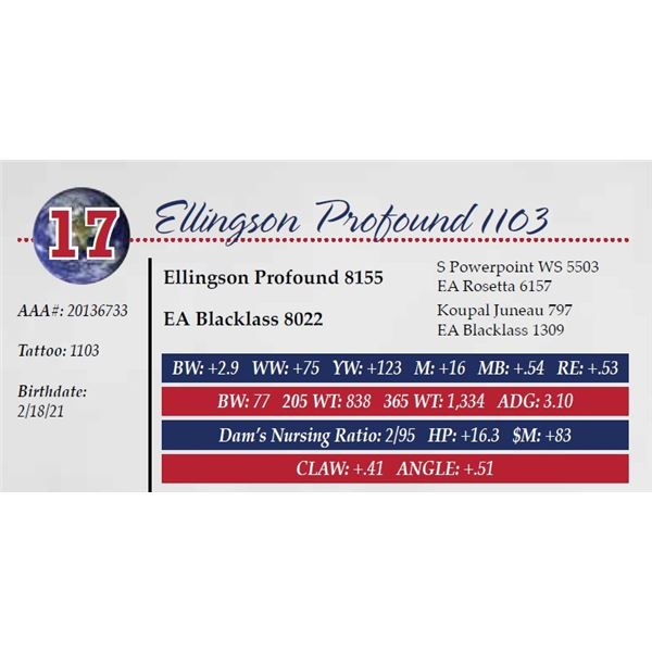 ELLINGSON PROFOUND 1103