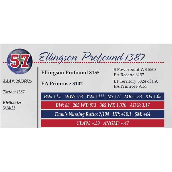 ELLINGSON PROFOUND 1387
