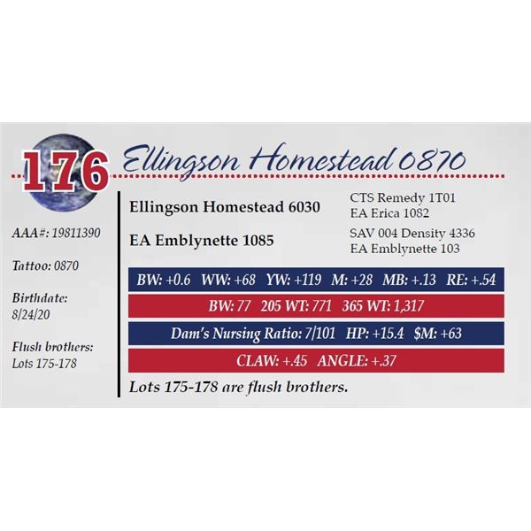 ELLINGSON HOMESTEAD 0870
