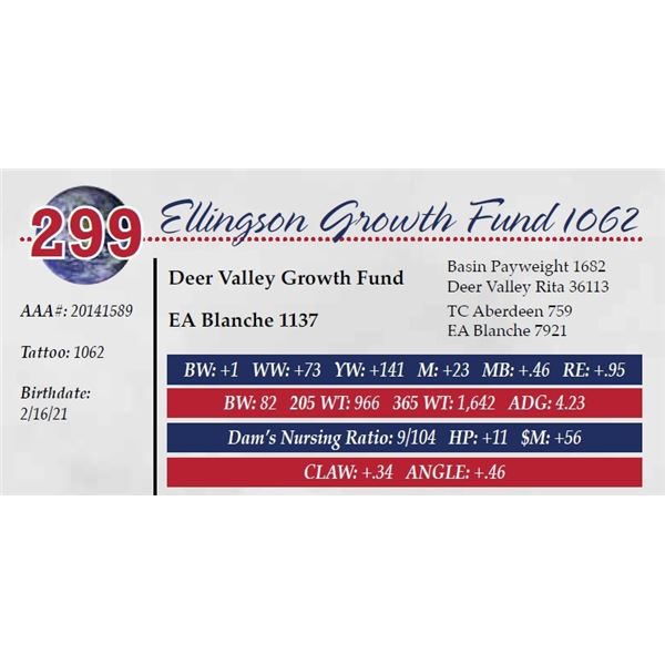 ELLINGSON GROWTH FUND 1062