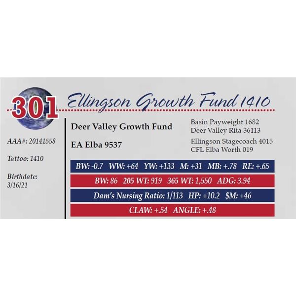 ELLINGSON GROWTH FUND 1410