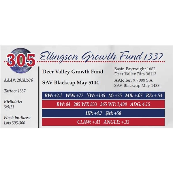 ELLINGSON GROWTH FUND 1337