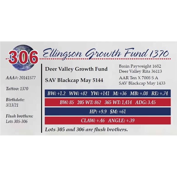 ELLINGSON GROWTH FUND 1370