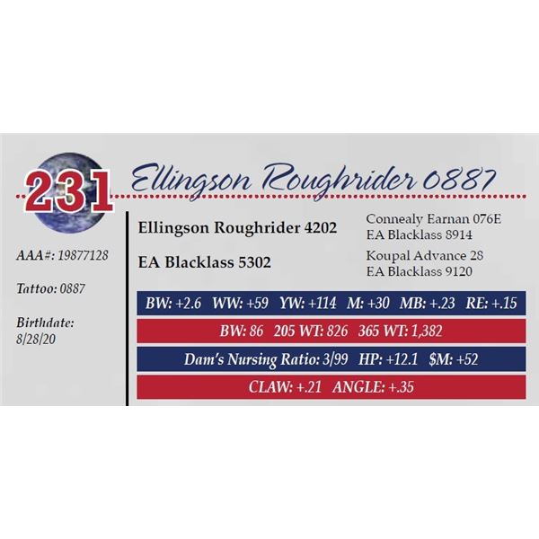 ELLINGSON ROUGHRIDER 0887