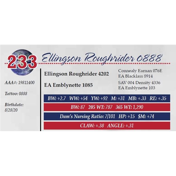 ELLINGSON ROUGHRIDER 0888