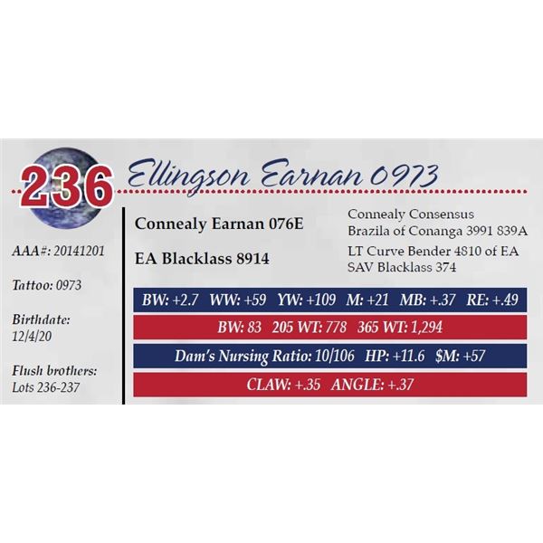 ELLINGSON EARNAN 0973