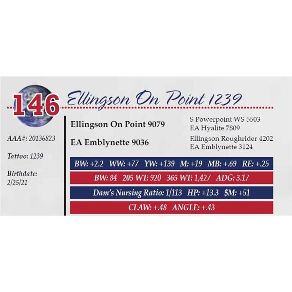 ELLINGSON ON POINT 1239