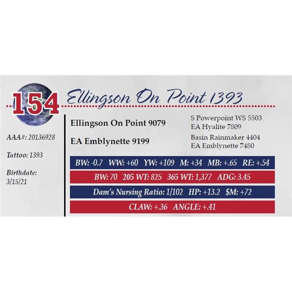 ELLINGSON ON POINT 1393