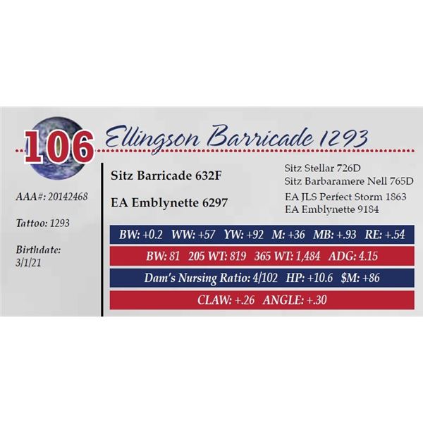 ELLINGSON BARRICADE 1293